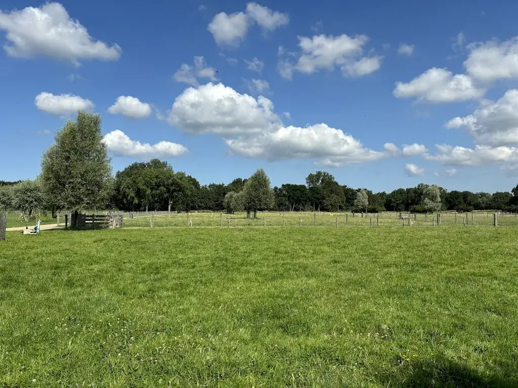 Venus 61mkm_Restaurant De Kleine Leeuw_Voorschoten_review