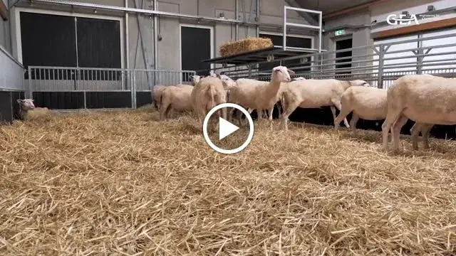 Tante Tokkie_Voorschoten_slider_image_2