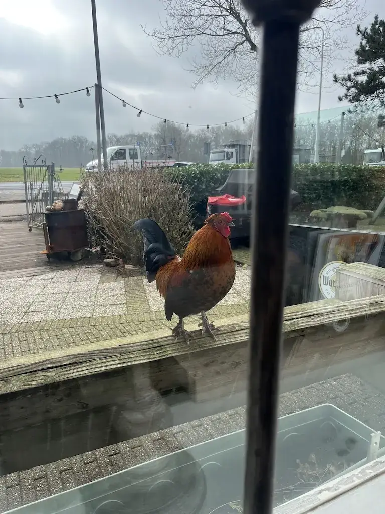 Glen Mcpheat_Het Eiland Van Ome Nick_Voorschoten_review