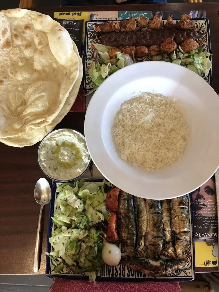 Zahra Abedi_Alfanos_Rotterdam_review