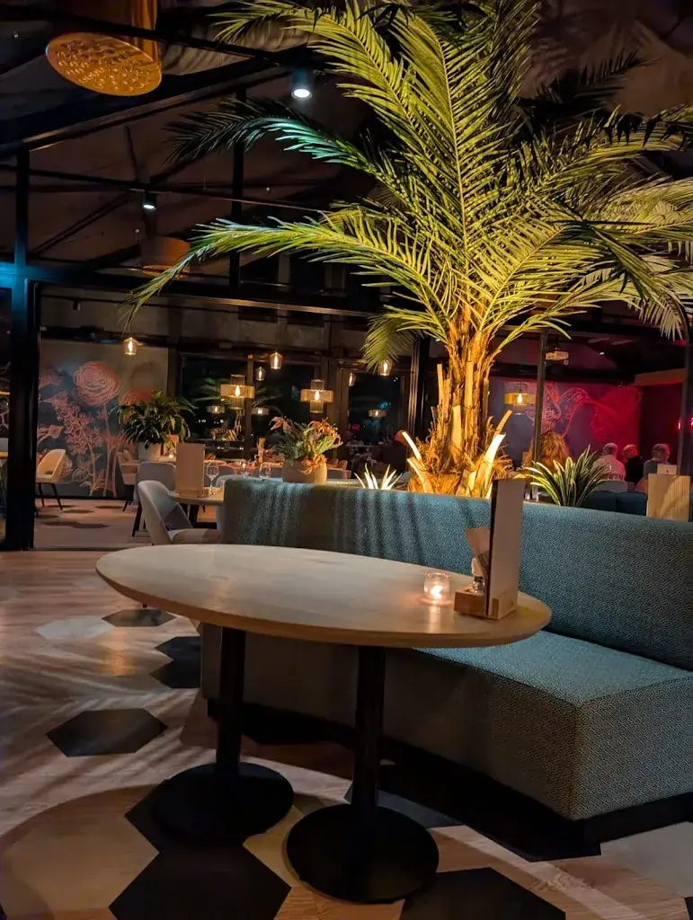 Yasemin Yelbay_Brasserie De Schie_Rotterdam_recensione