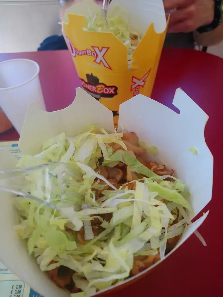 Rui Pereira_El Aviv Overschie_Rotterdam_review