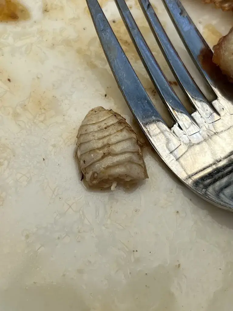 Kirils Kucerovs_Watertuin Naaldwijk_Naaldwijk_review