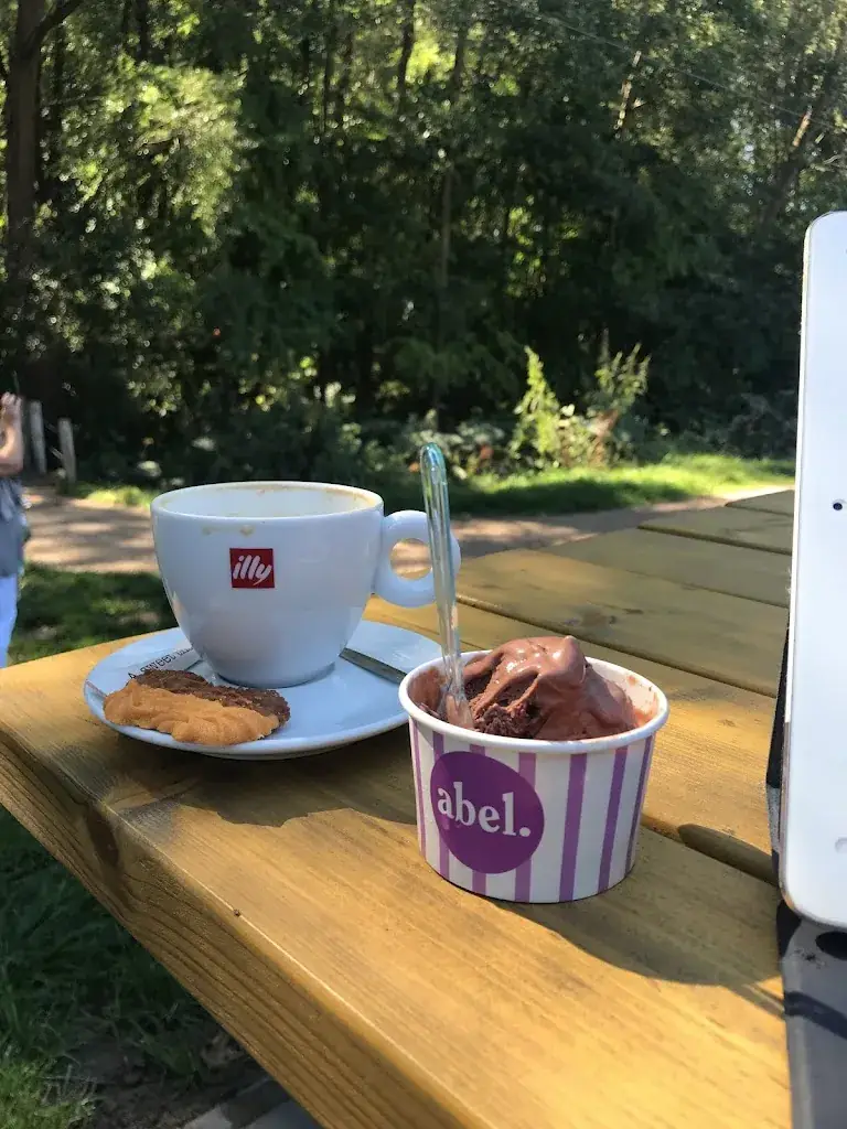 Dalal Alwazzan_Tasman._Poortugaal_review