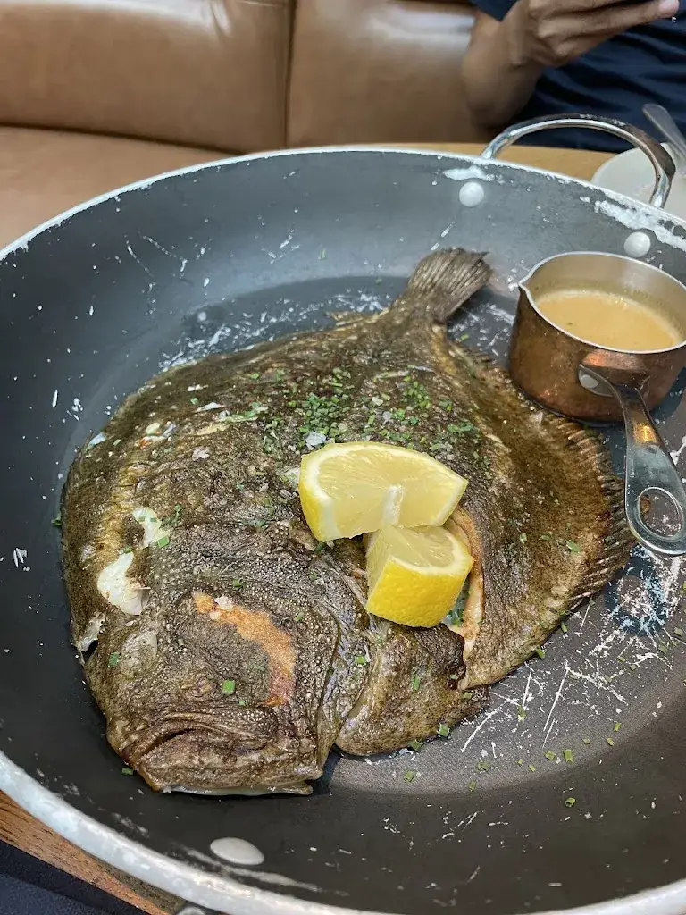 Nida özeçoğlu_Pesca Rotterdam_Rotterdam_review