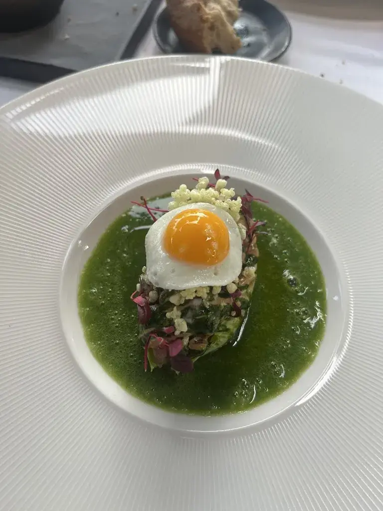 Doğa Aksen_Zeezout_Rotterdam_review