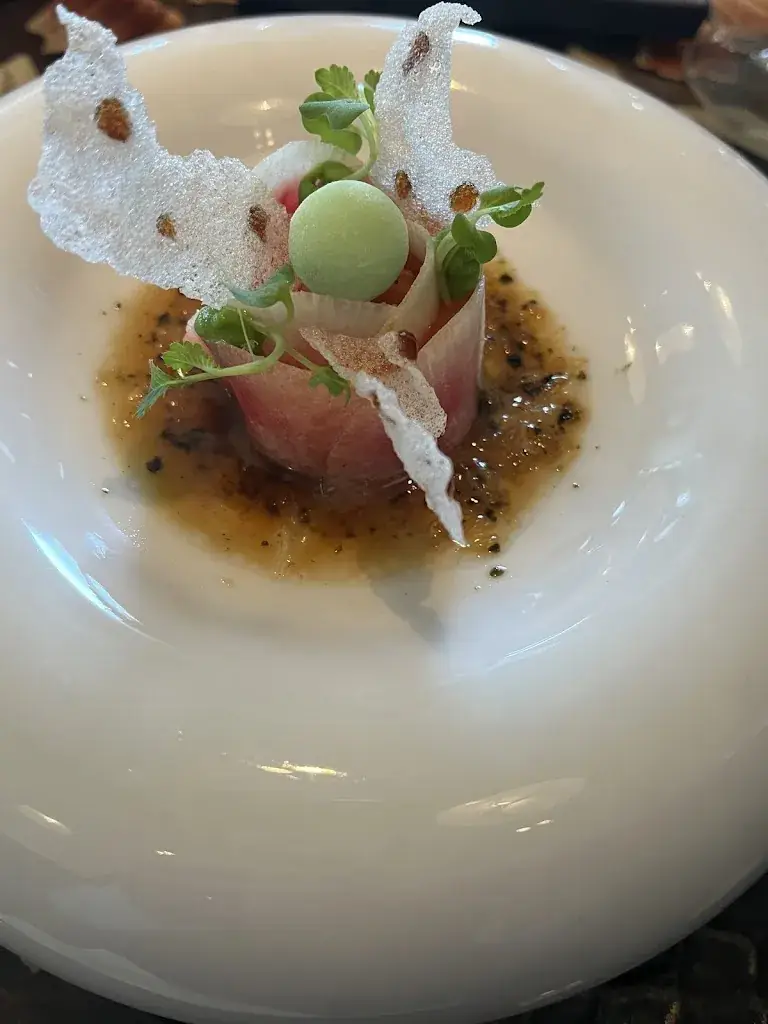 Daniela Signorelli_Zeezout_Rotterdam_review