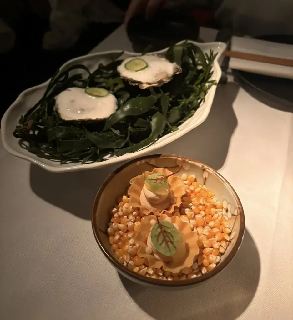 Lynn Roesiani_OX Rotterdam_Rotterdam_review