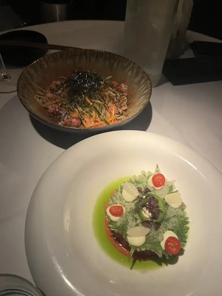 Doğa Aksen_OX Rotterdam_Rotterdam_review