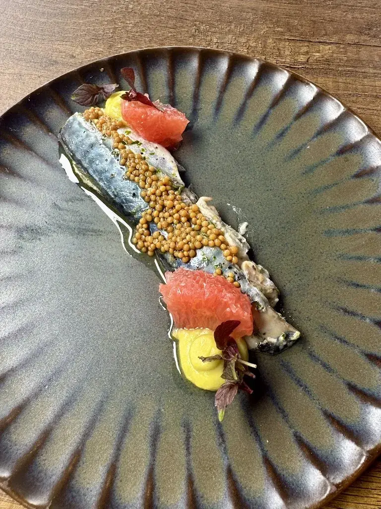 Rares Serban_De Dagvisser_Haag_review