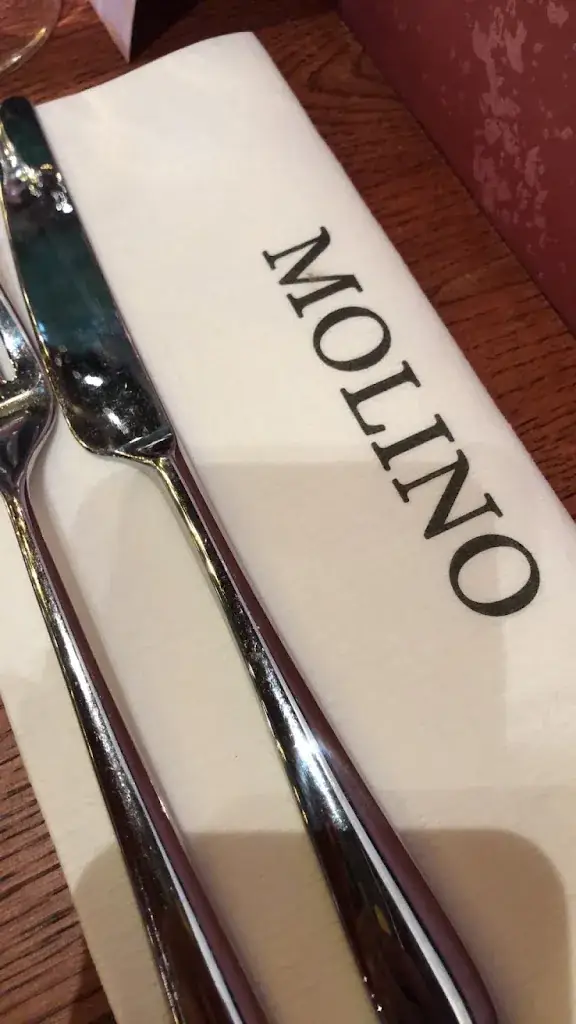 J L (JL)_Molino Asian Bistro_Drachten_review