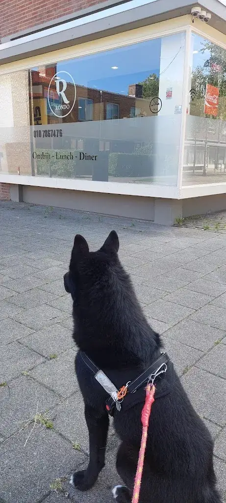 Restaurant Rondo_Rotterdam_slider_image_1