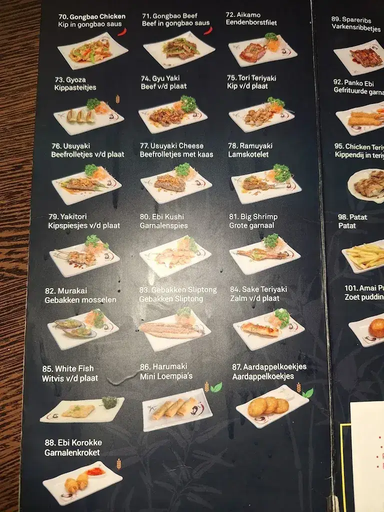 Menu_Oishi Fusion_Sliedrecht_immagine_2