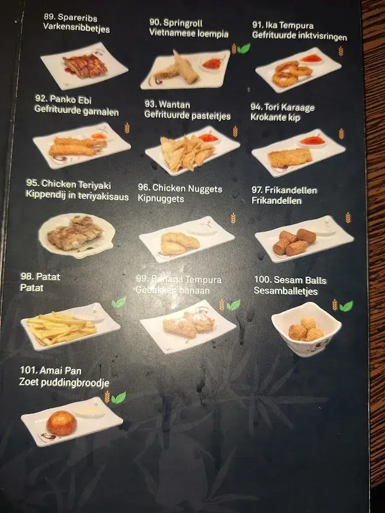 Menu_Oishi Fusion_Sliedrecht_immagine_3