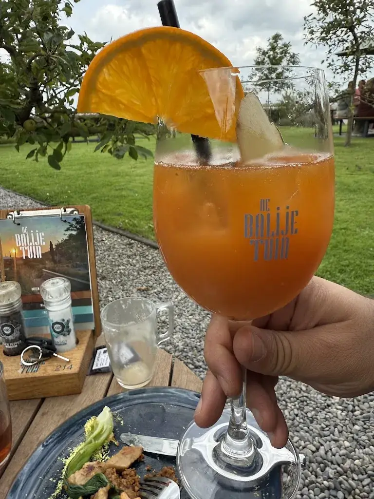 Nour Ezzeddini_De Balije Tuin_Nootdorp_review