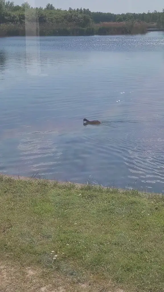 Melissa V Schmidt_Restaurant Buytenhout_Nootdorp_review