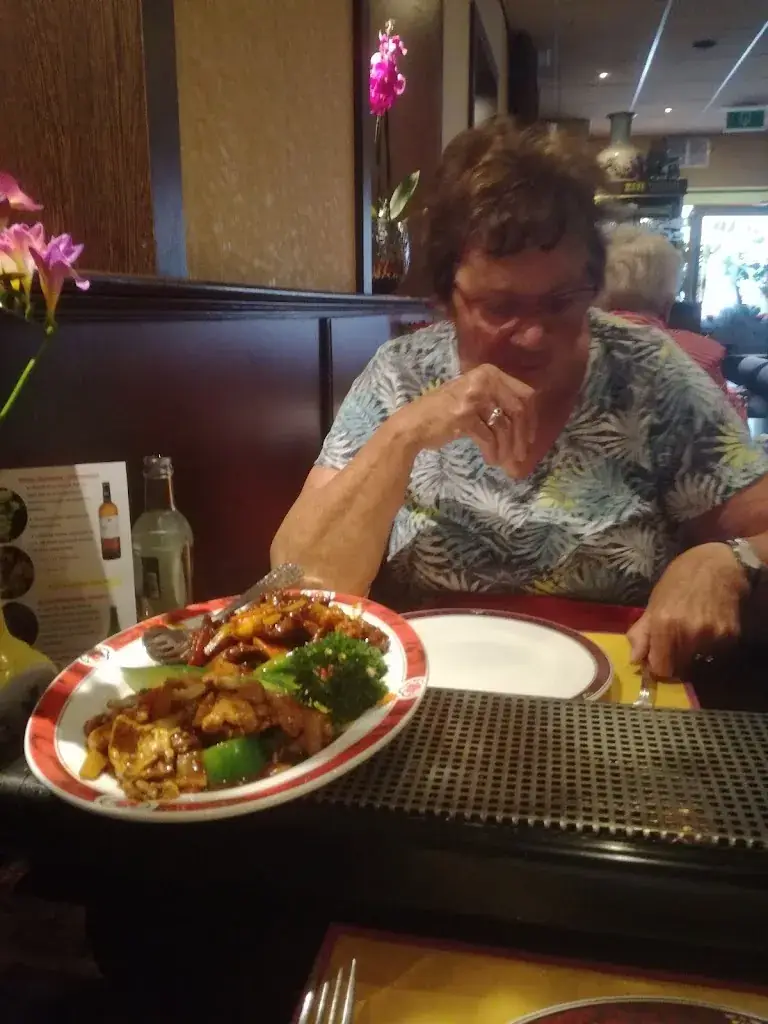 Menu_Chinees Indisch Restaurant China SN Hu_Pijnacker_image_9