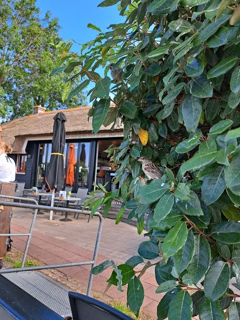 Trish van Elswijk_Brasserie Vlietzicht B.V._Schipluiden_review