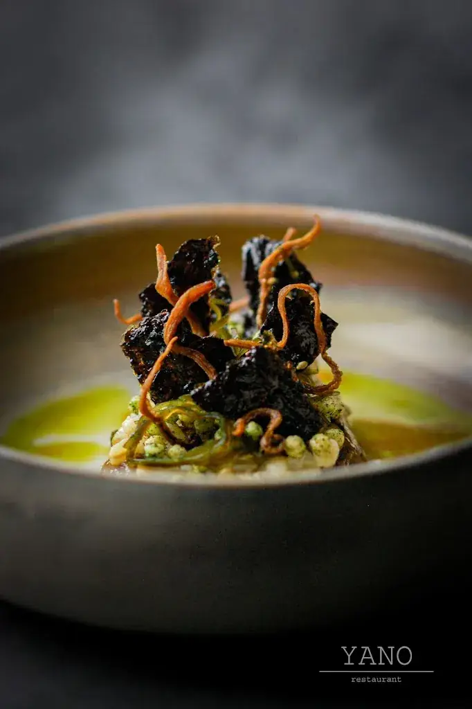 Menü_restaurant YANO_Rotterdam_Bild_9