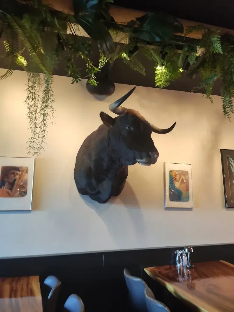 Vishesh Saxena_Facet Eten & Drinken Rotterdam_Rotterdam_review