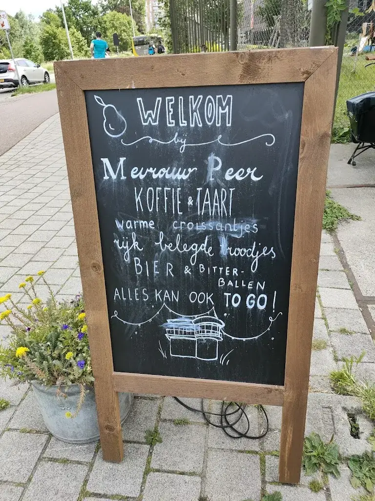 Robert Goes_Mevrouw Peer_Utrecht_recensione