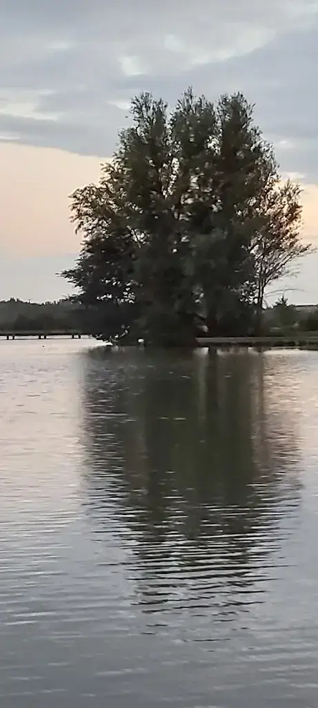 Jeannette Schutten_Restaurant De Kombuis_Woubrugge_avis