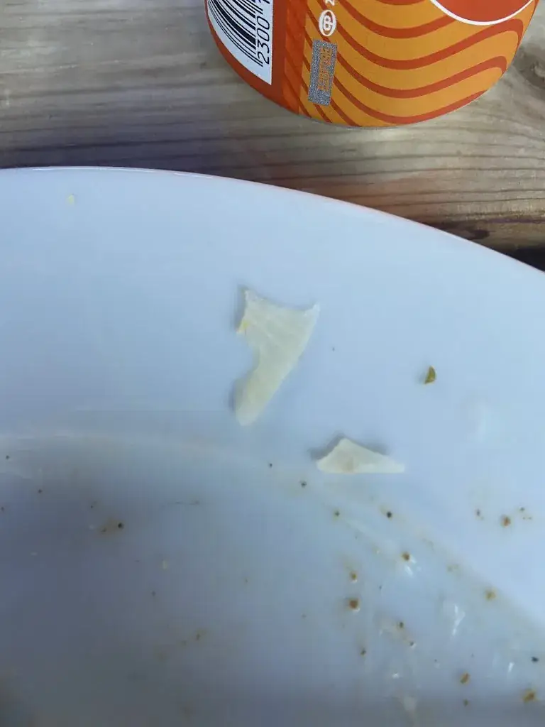 MarloesV24_La Fontana_Zuid-Beijerland_recensione