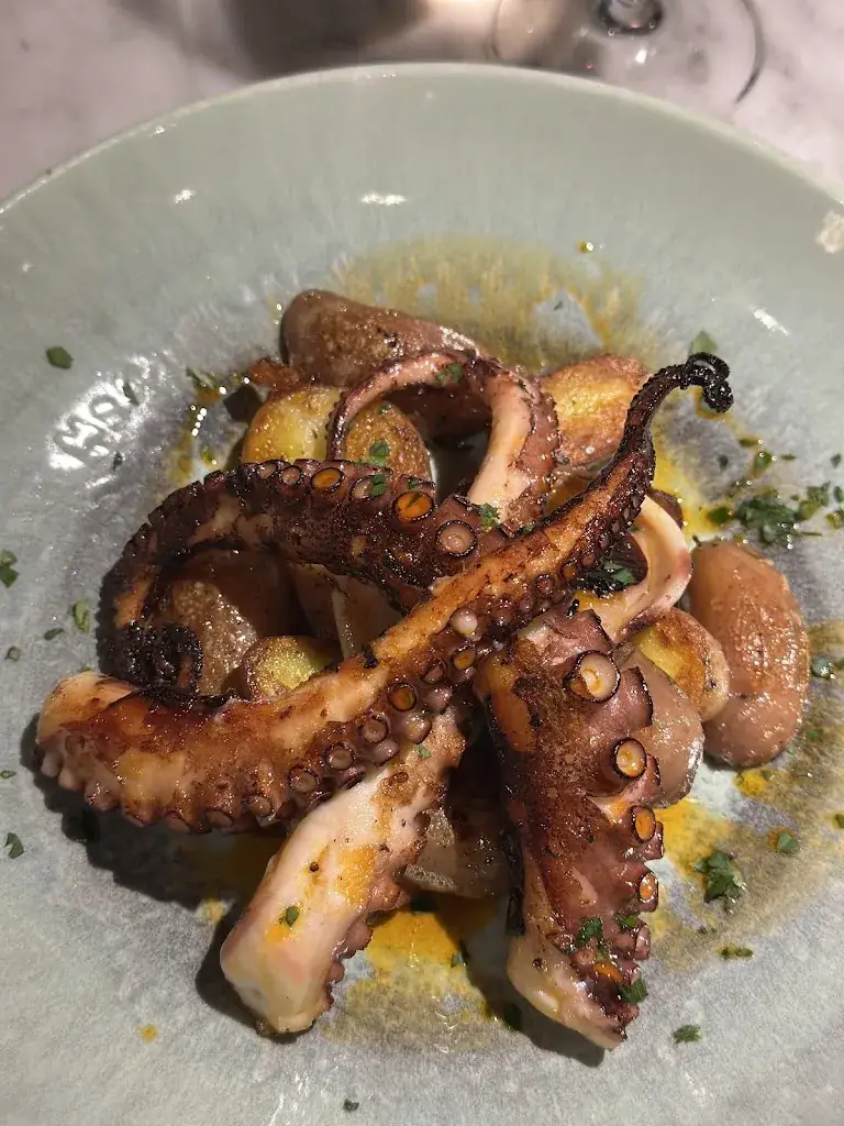 A. Starke_Pastanini_Haag_recensione