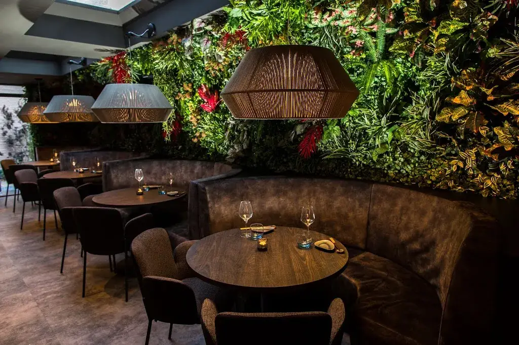 Kyatcha Den Haag ristorante a Haag