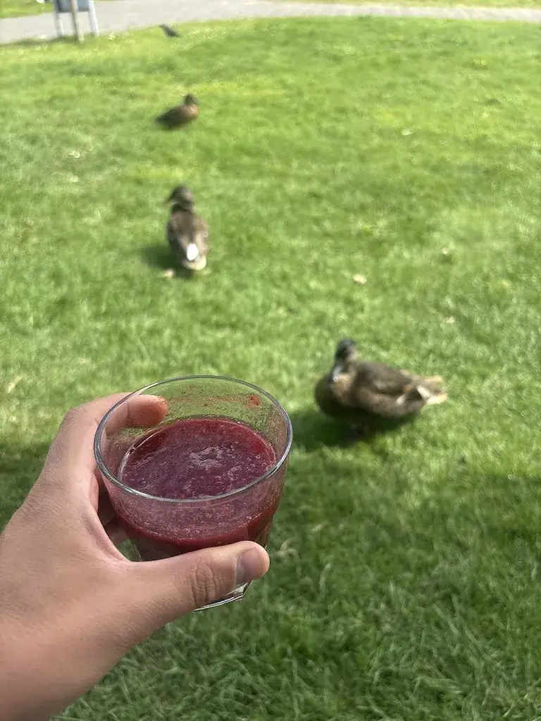 Ali Demirci (Fotodunyam)_La Place_Zoeterwoude_review