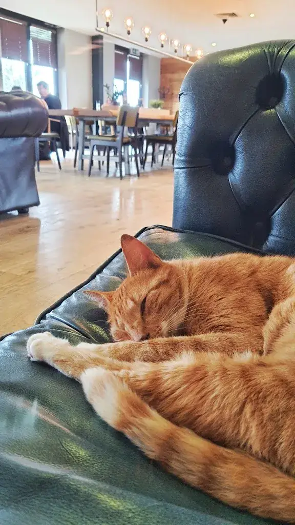 Agnieszka Cegielska_La Place_Zoeterwoude_review