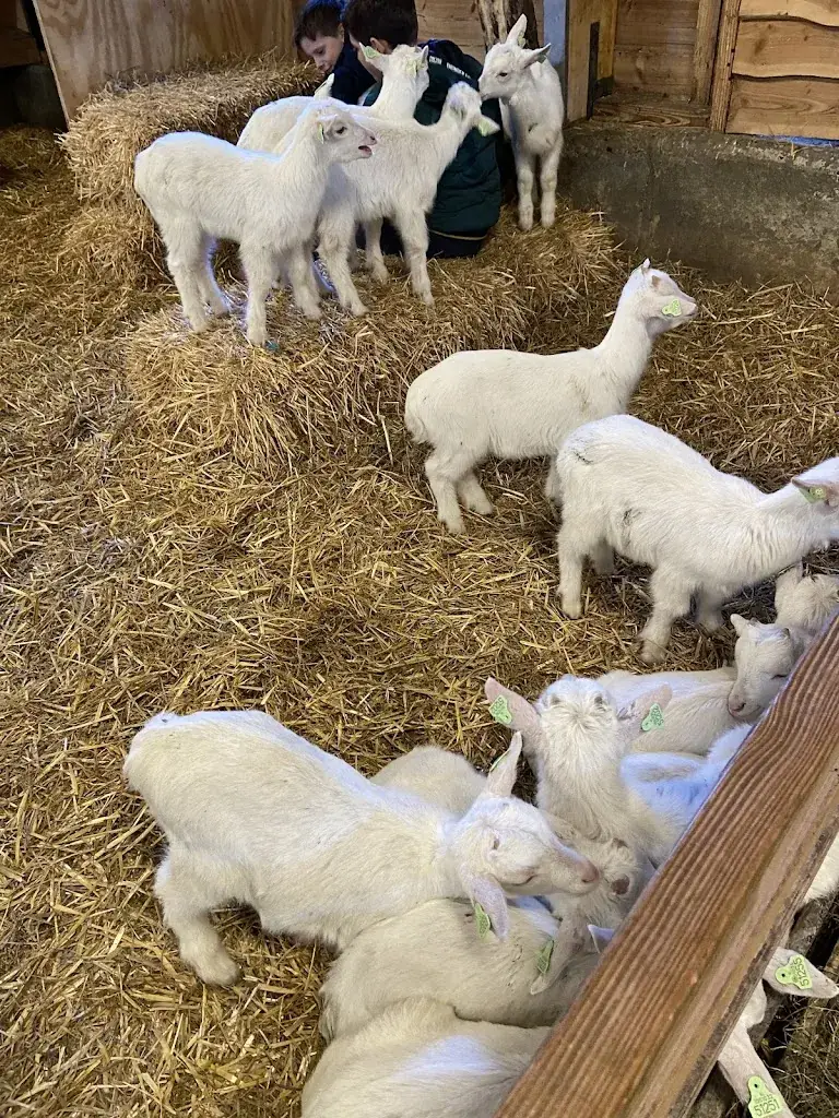 Ugur_Boerderij 't Geertje_Zoeterwoude_review