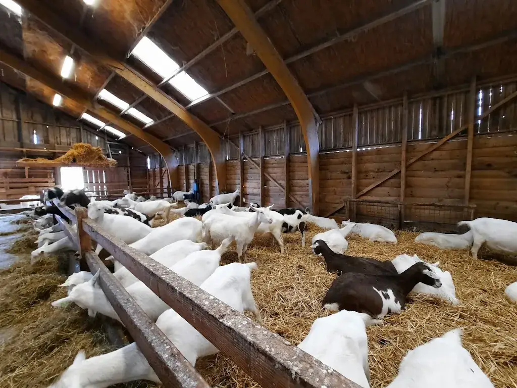 Boerderij 't Geertje restaurant in Zoeterwoude