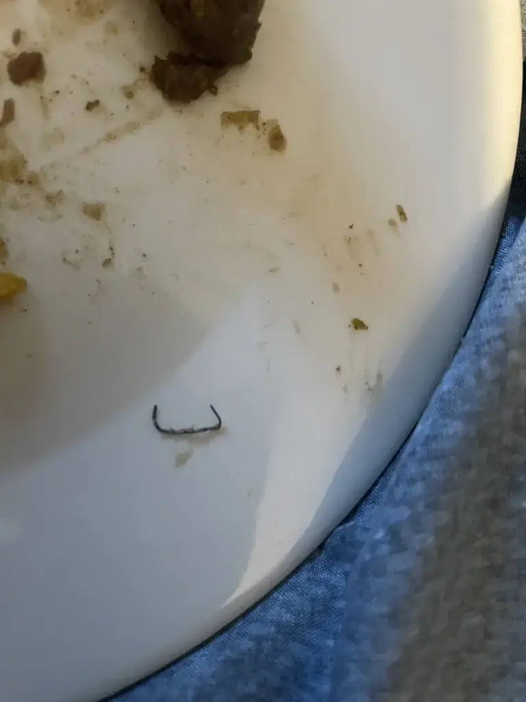 Indriana Systifani_Cafetaria Markie`s_Rijndijk_recensione