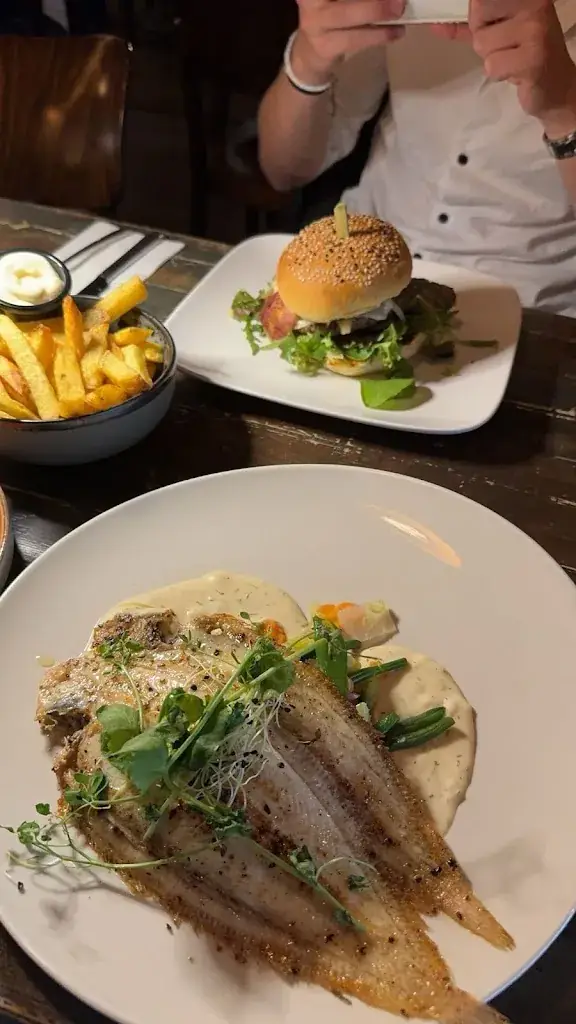 Bindi_ZOHEJ!_Zwijndrecht_reseña