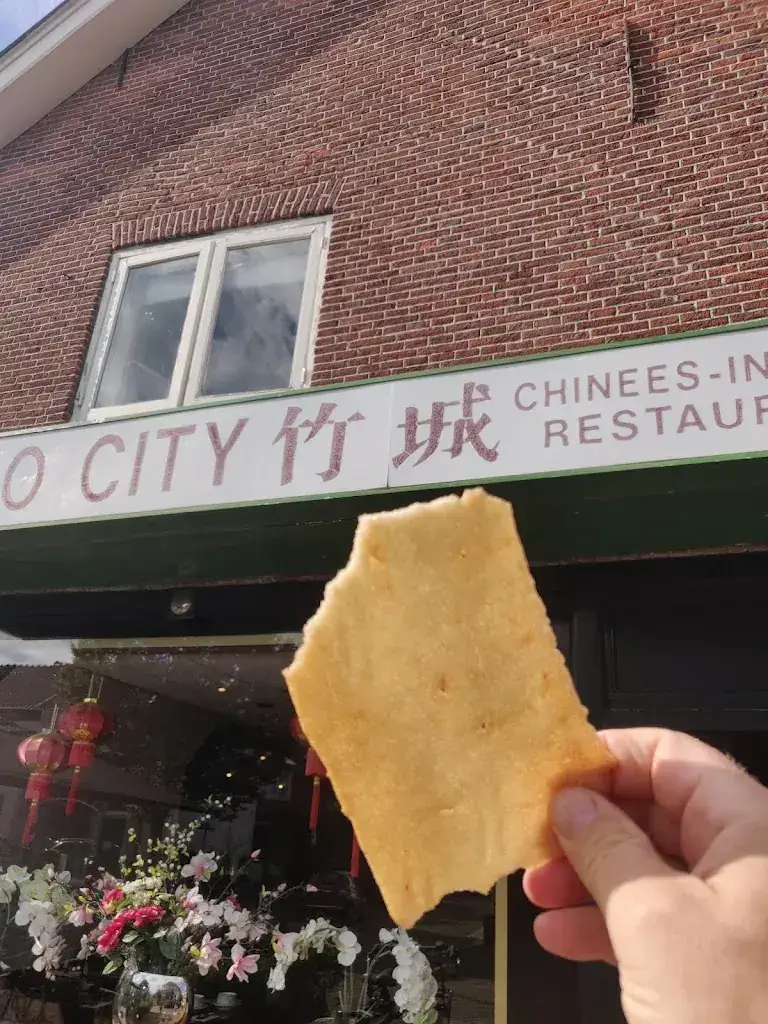 Beau ter Ham_V.O.F. Bamboo City_Amerongen_Bewertung