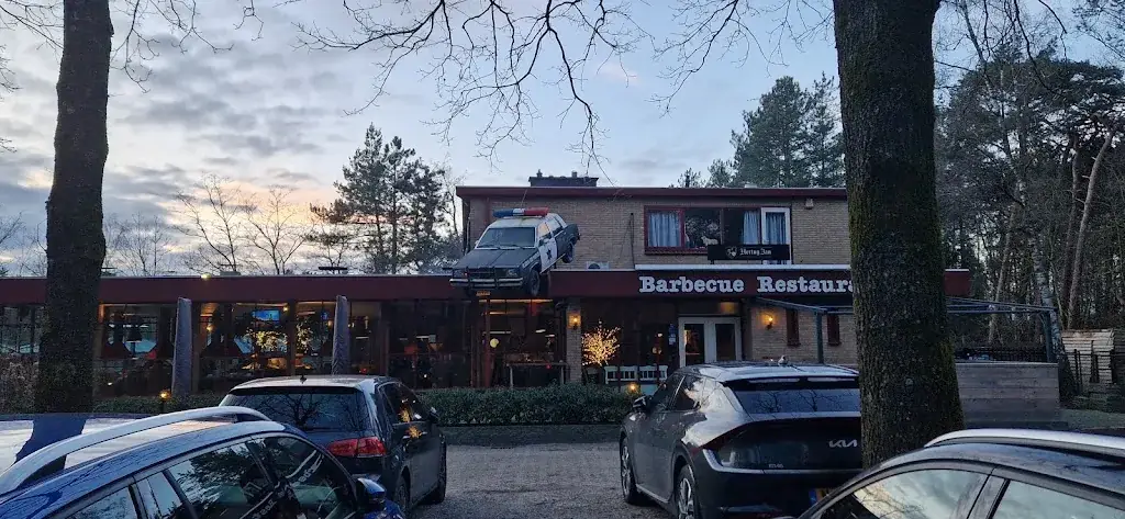 Hamed Rez_Barbecue-restaurant De Heuvelrug_Leersum_review