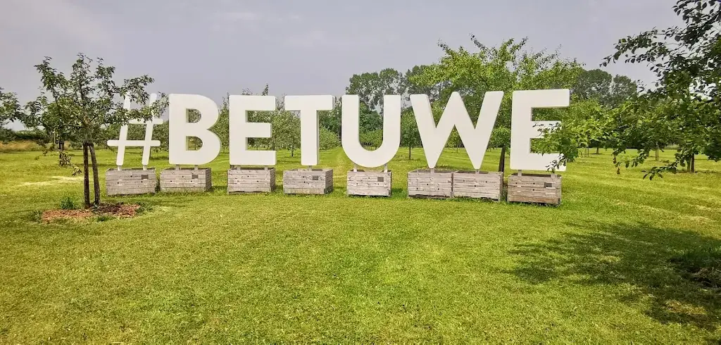 Sjon Baum_Glory Eck en Wiel_Wiel_review