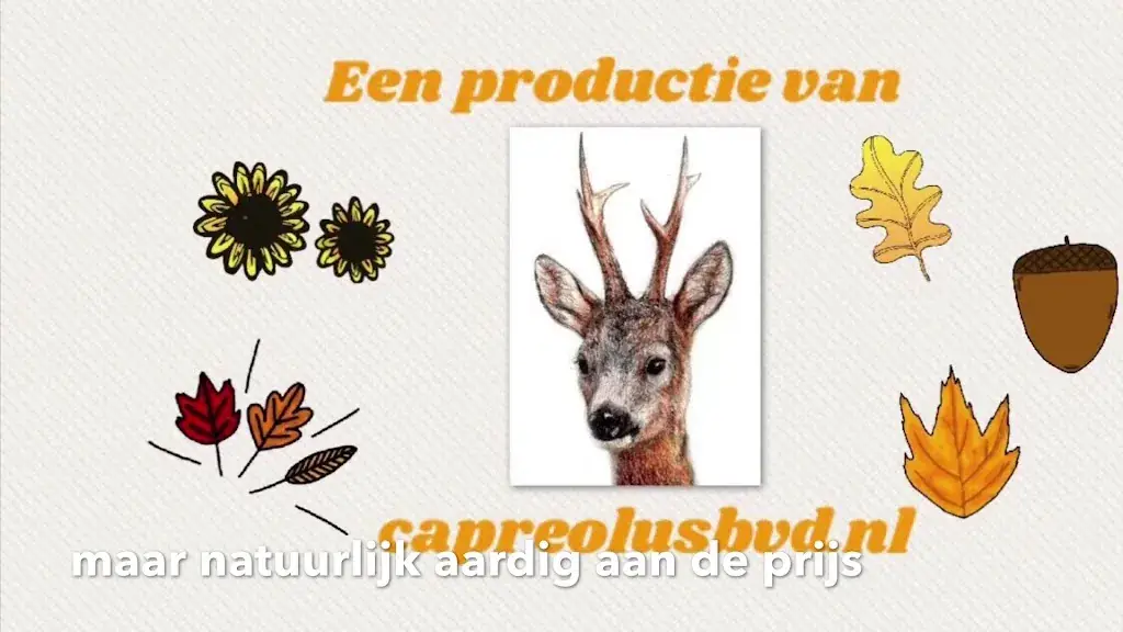 Bar Brasserie Joris_IJsselstein_slider_image_2