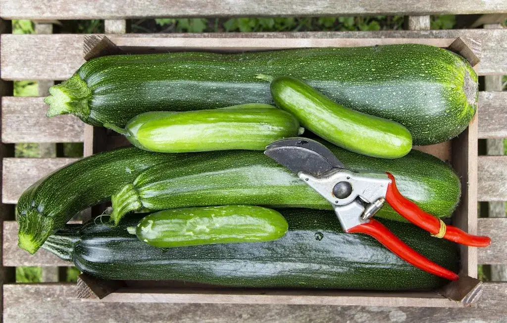 Menu_bij Mar_Baarn_image_2