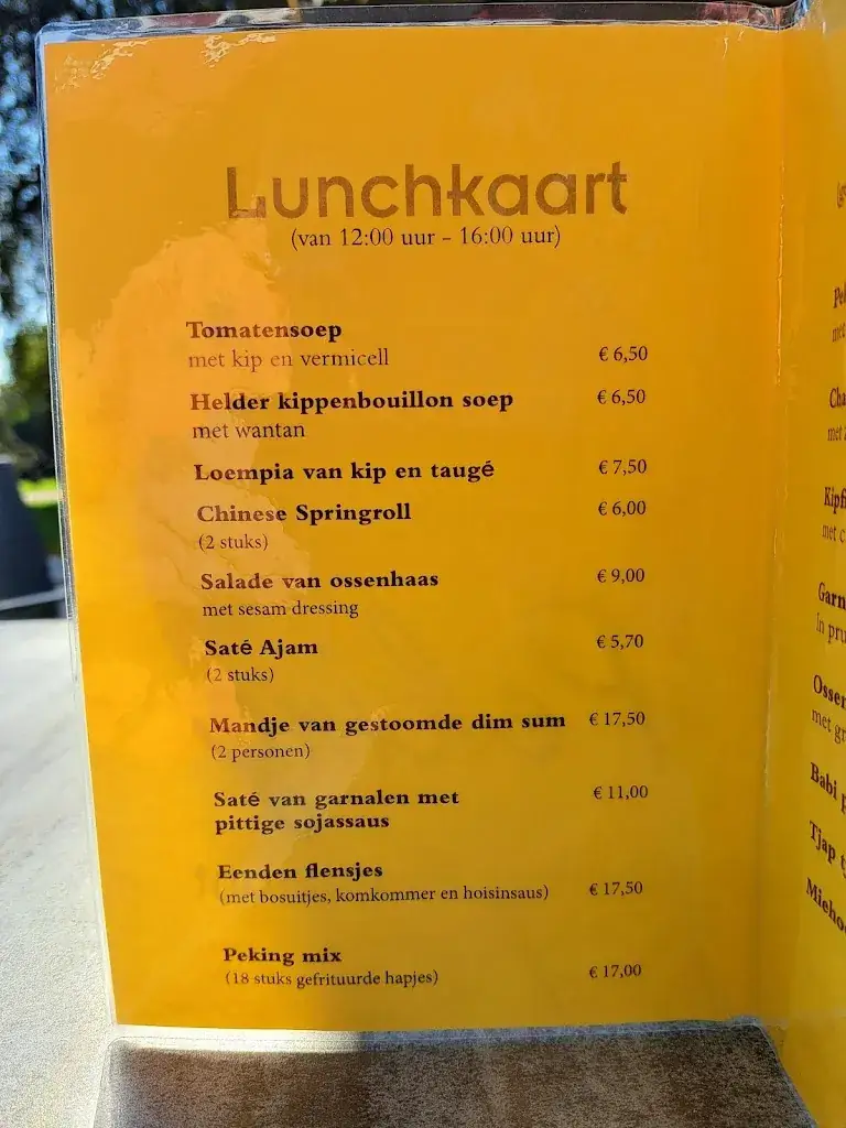 Menu_Chinees-Indisch Restaurant Peking_Baarn_image_2