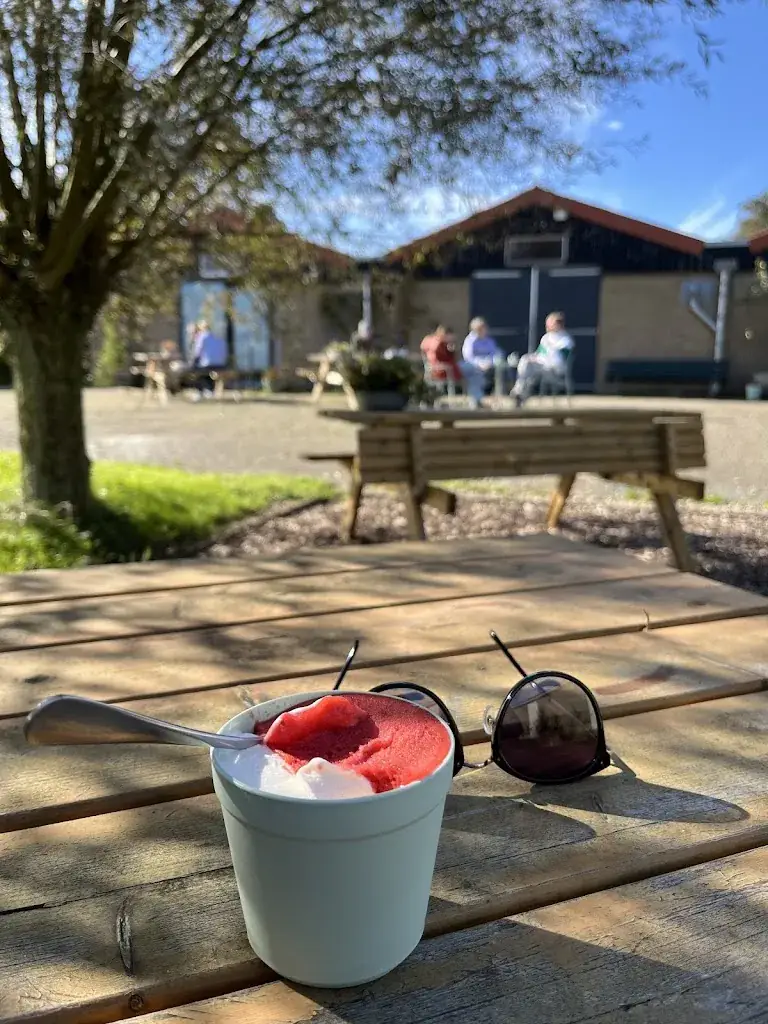 Elaine Huang_De IJstuin Dronryp - IJssalon / Theetuin_Dronryp_Bewertung