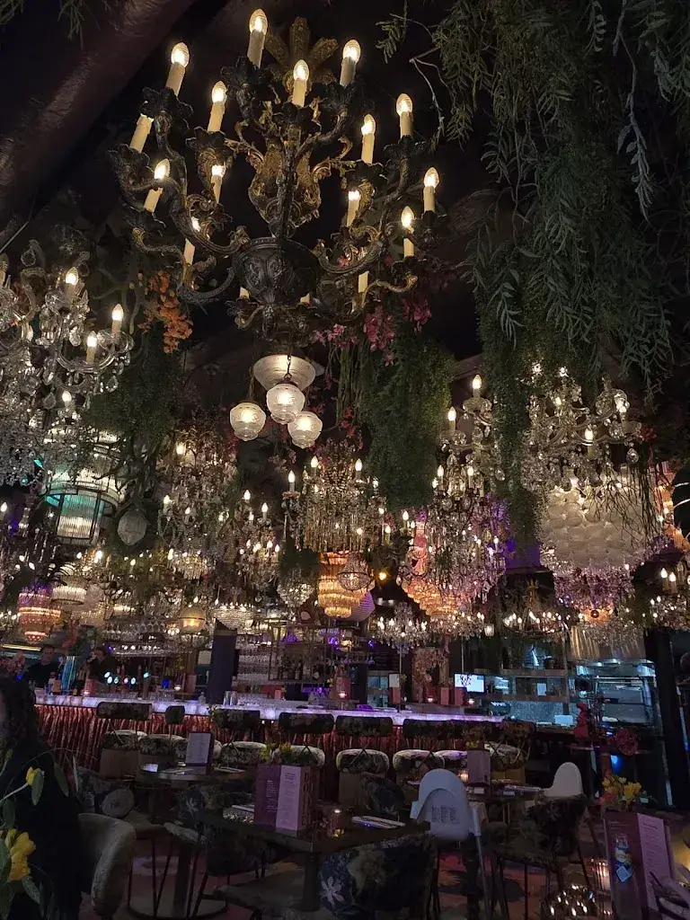 Nicola Benker_Dolle Diva_Amersfoort_reseña