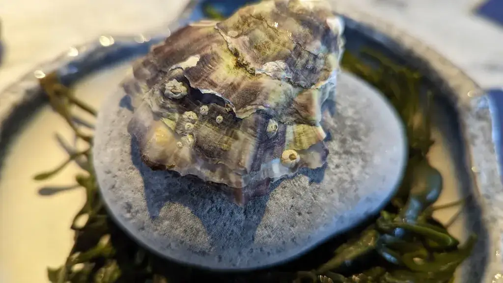 Menu_Burgemeester_Linschoten_image_8