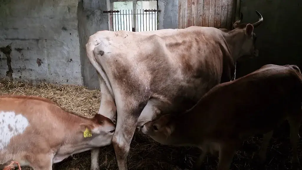 Ton C. Kroon_De buitenkeuken van Eyckenstein_Maartensdijk_review