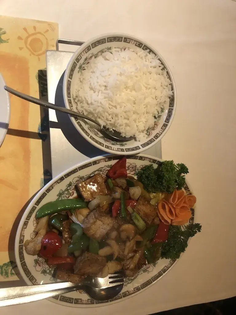 Rotem Shnaider_Chinees Bistro Lunetten Utrecht_Utrecht_recensione