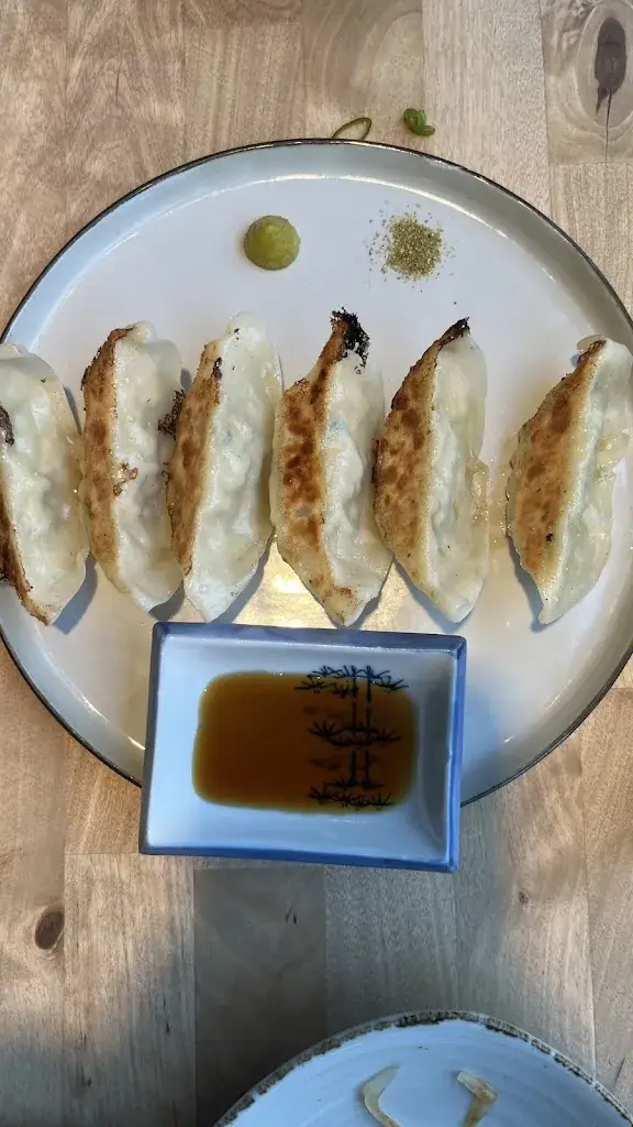 Gvantsa Jibladze_Japanese Don Dining KOUNOSUKE_Utrecht_review