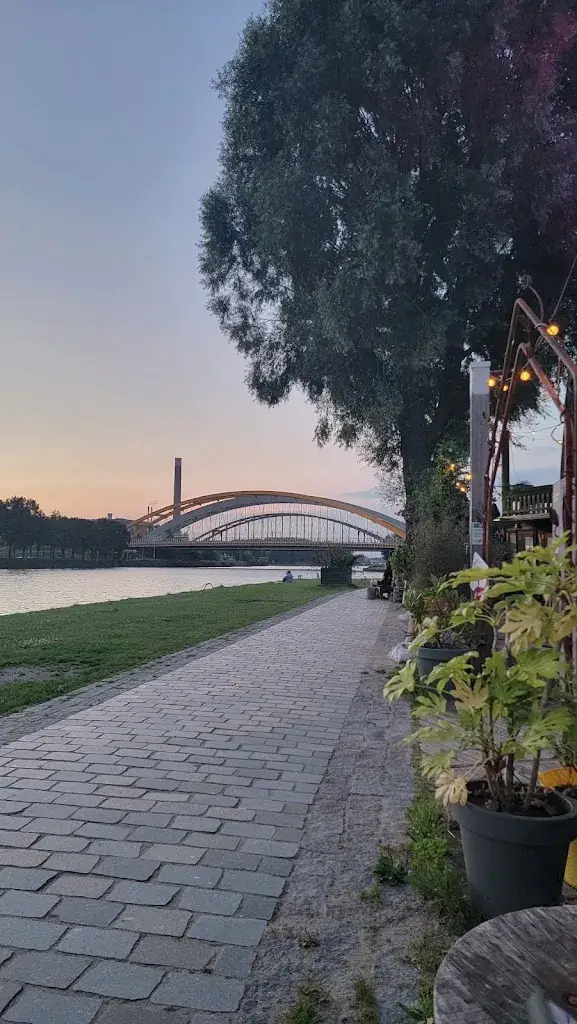 eneriy_Soia - Beach Oog In Al_Utrecht_Bewertung