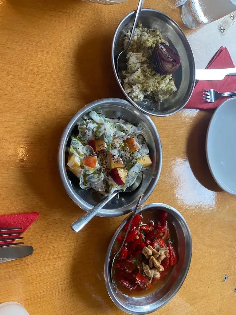 Itir Onal Ertugrul_Anason_Utrecht_review