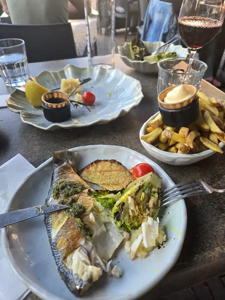 Olavo Jose Cecchini Tavares_Puur Ted_Leerdam_review